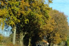 Herbst in Hattrop 2018